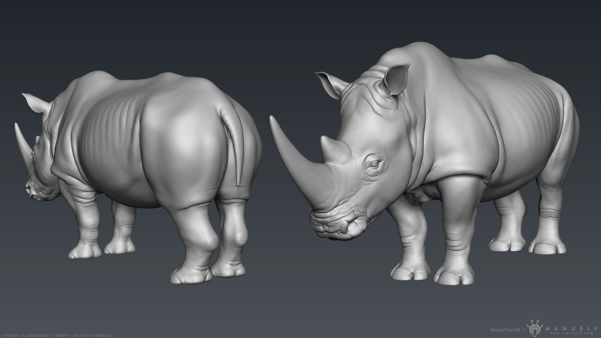 White Rhinoceros - Highpoly Sculpture 3D model_5