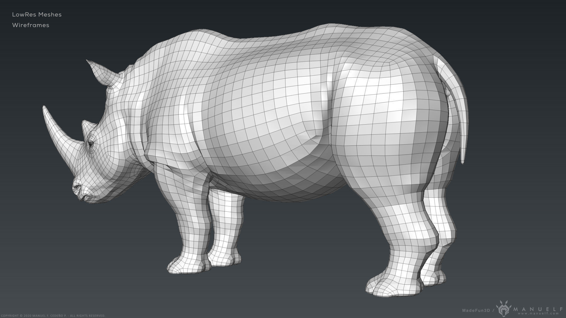White Rhinoceros - Highpoly Sculpture 3D model_16