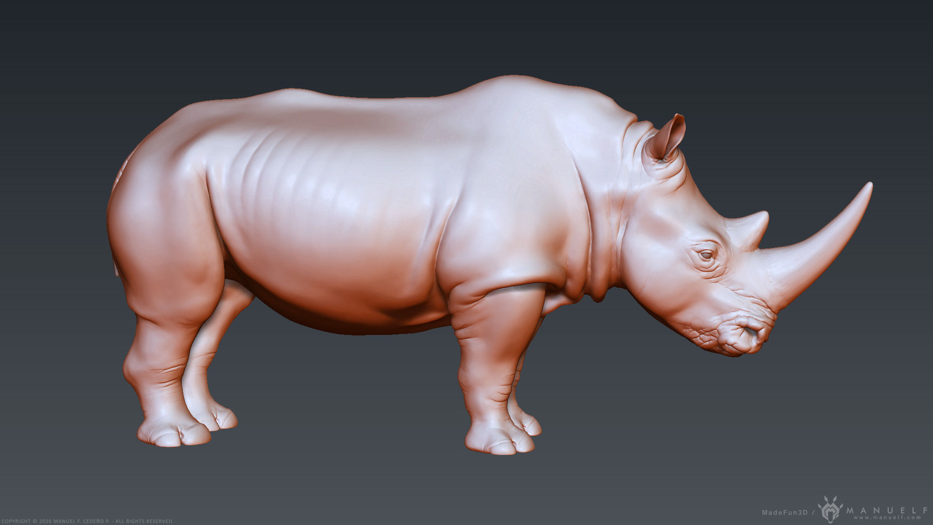 White Rhinoceros - Highpoly Sculpture 3D model_22