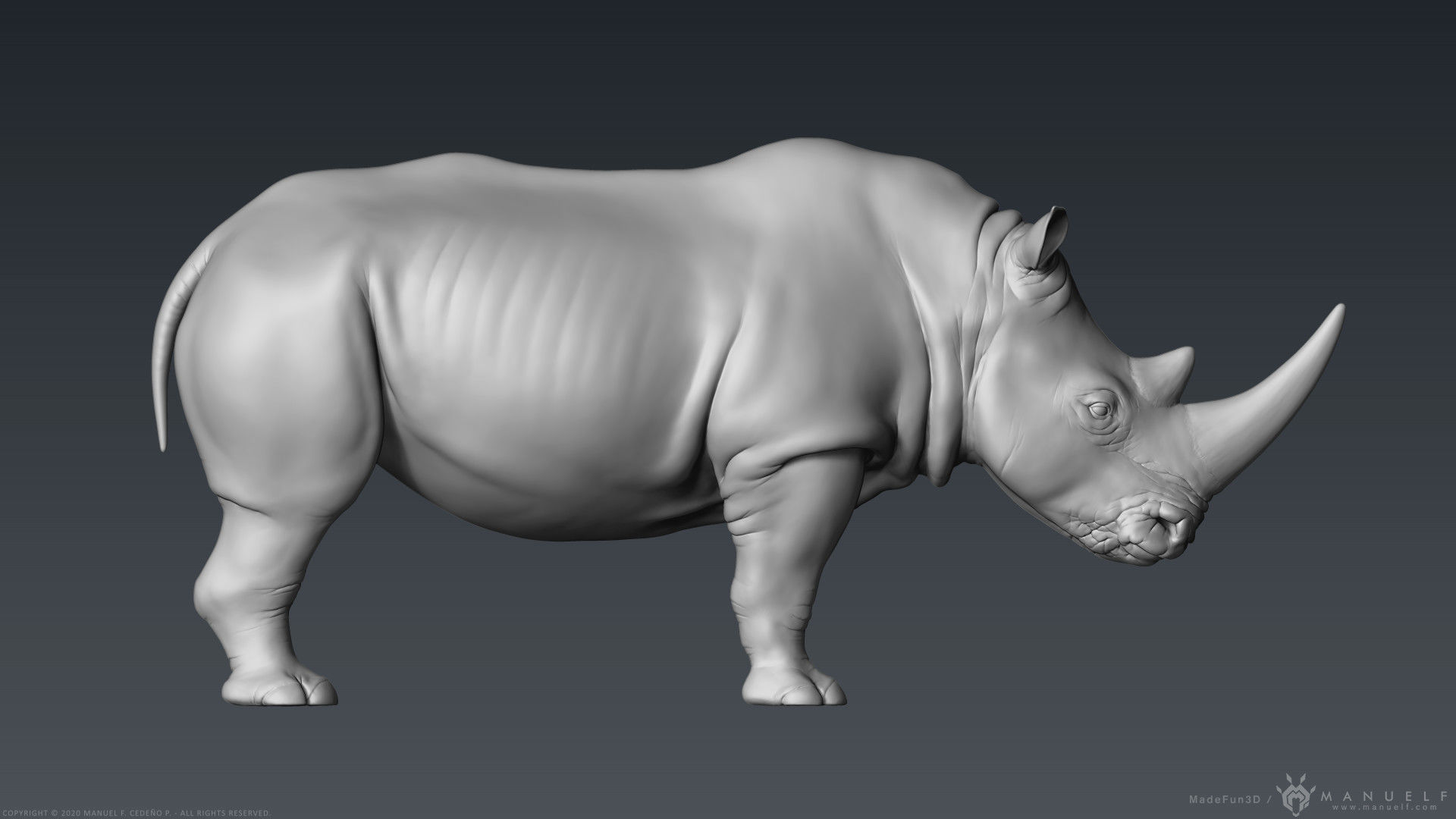 White Rhinoceros - Highpoly Sculpture 3D model_3