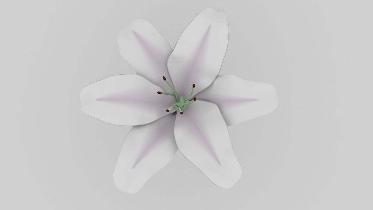 Lily flower low and high poly model Low-poly 3D model_2