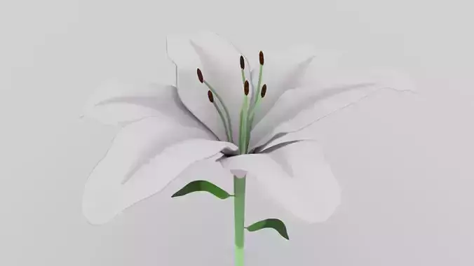 Lily flower low and high poly model