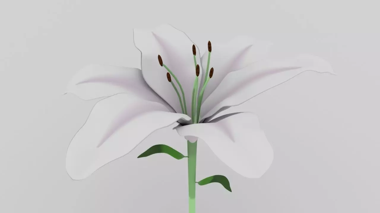 Lily flower low and high poly model Low-poly 3D model_0