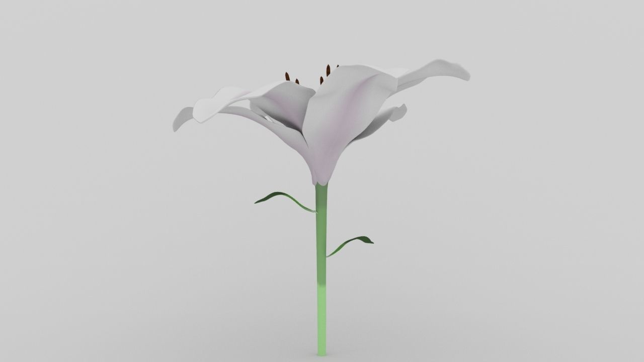 Lily flower low and high poly model Low-poly 3D model_4
