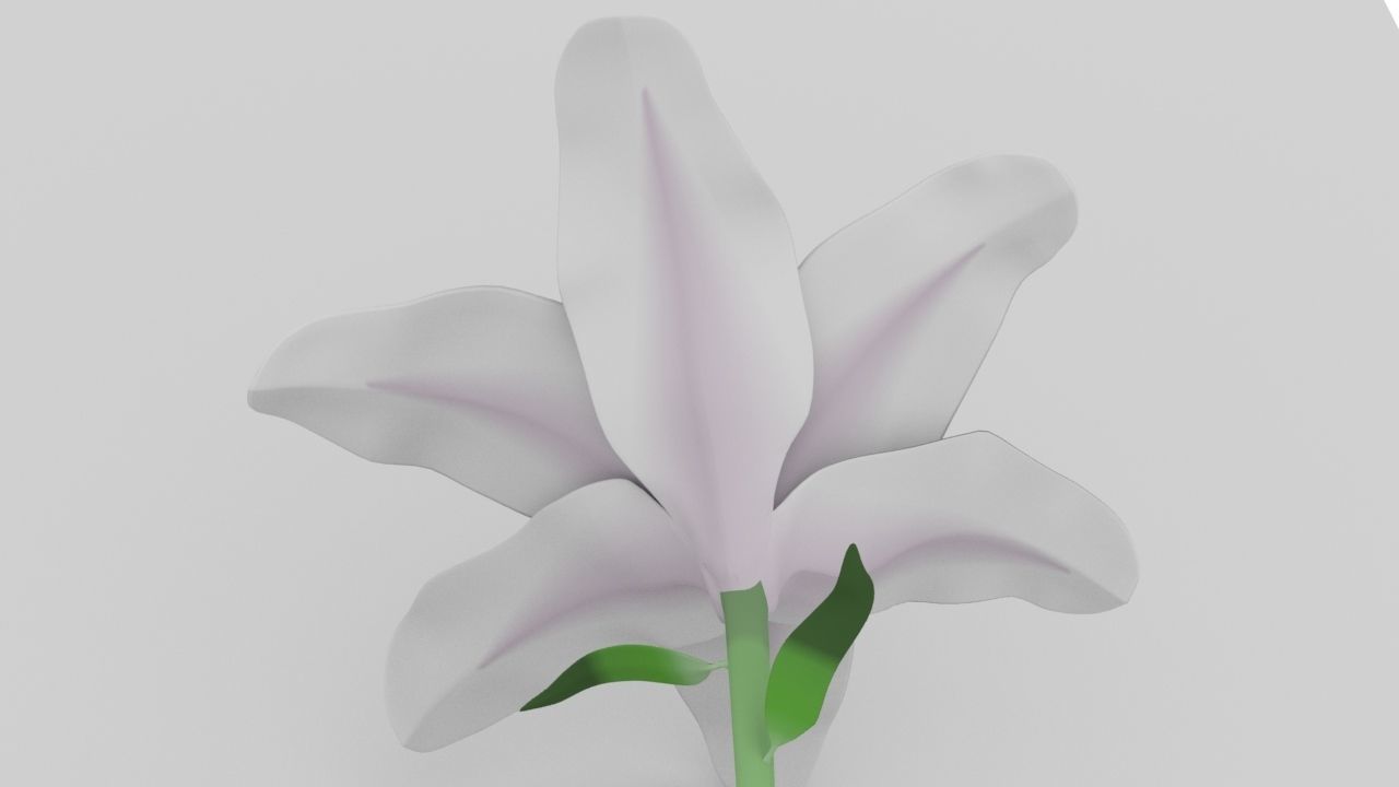 Lily flower low and high poly model Low-poly 3D model_3