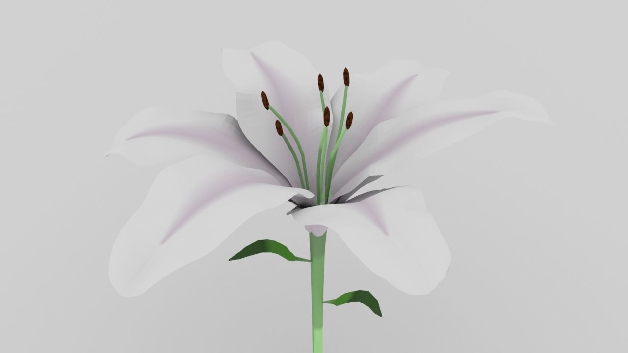 Lily flower low and high poly model Low-poly 3D model_1