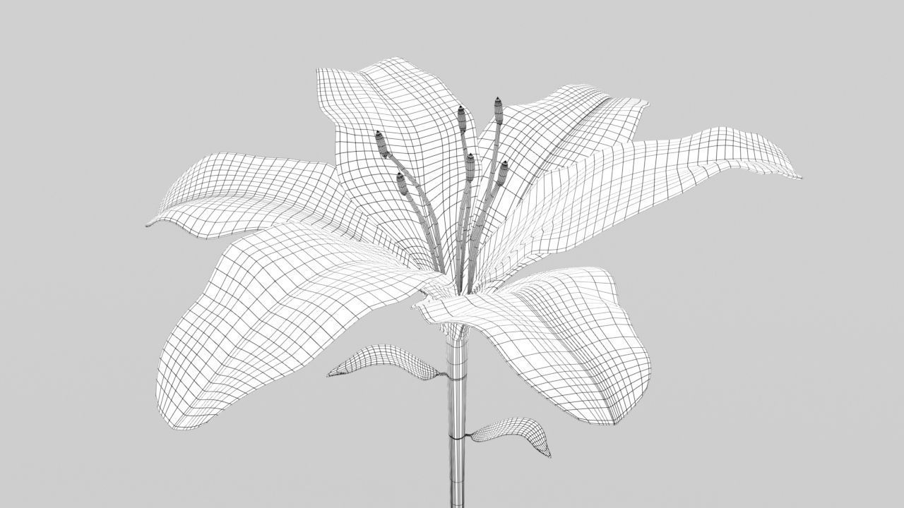 Lily flower low and high poly model Low-poly 3D model_5