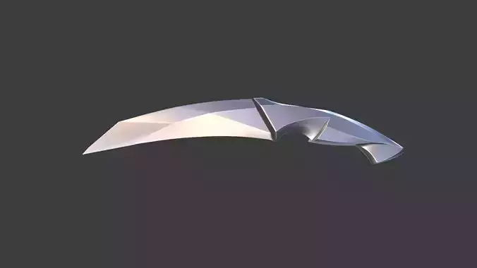 Knife sword
