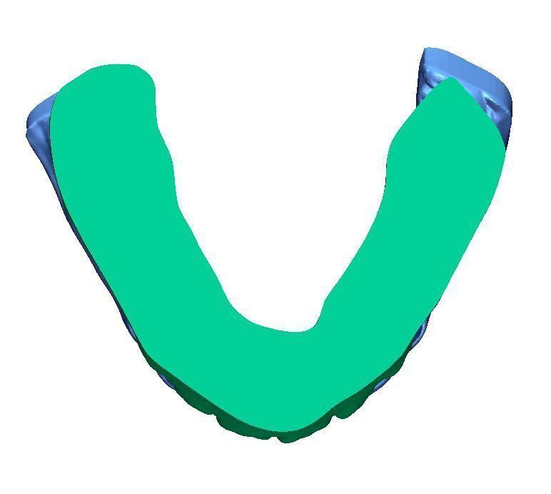 Human Teeth with Base -  3D print model_7