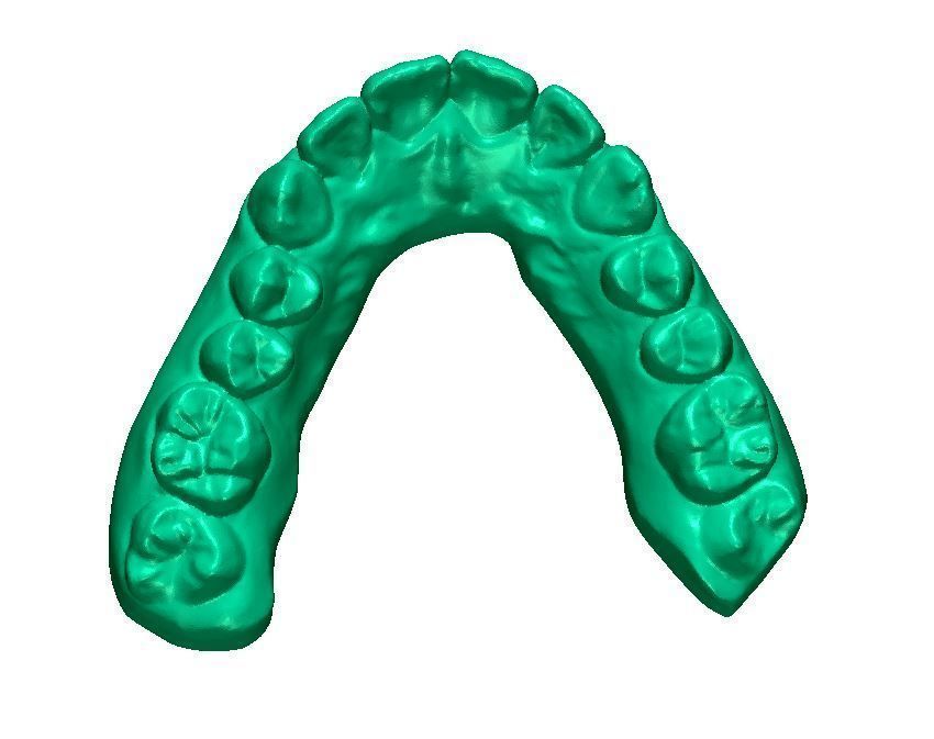 Human Teeth with Base -  3D print model_6