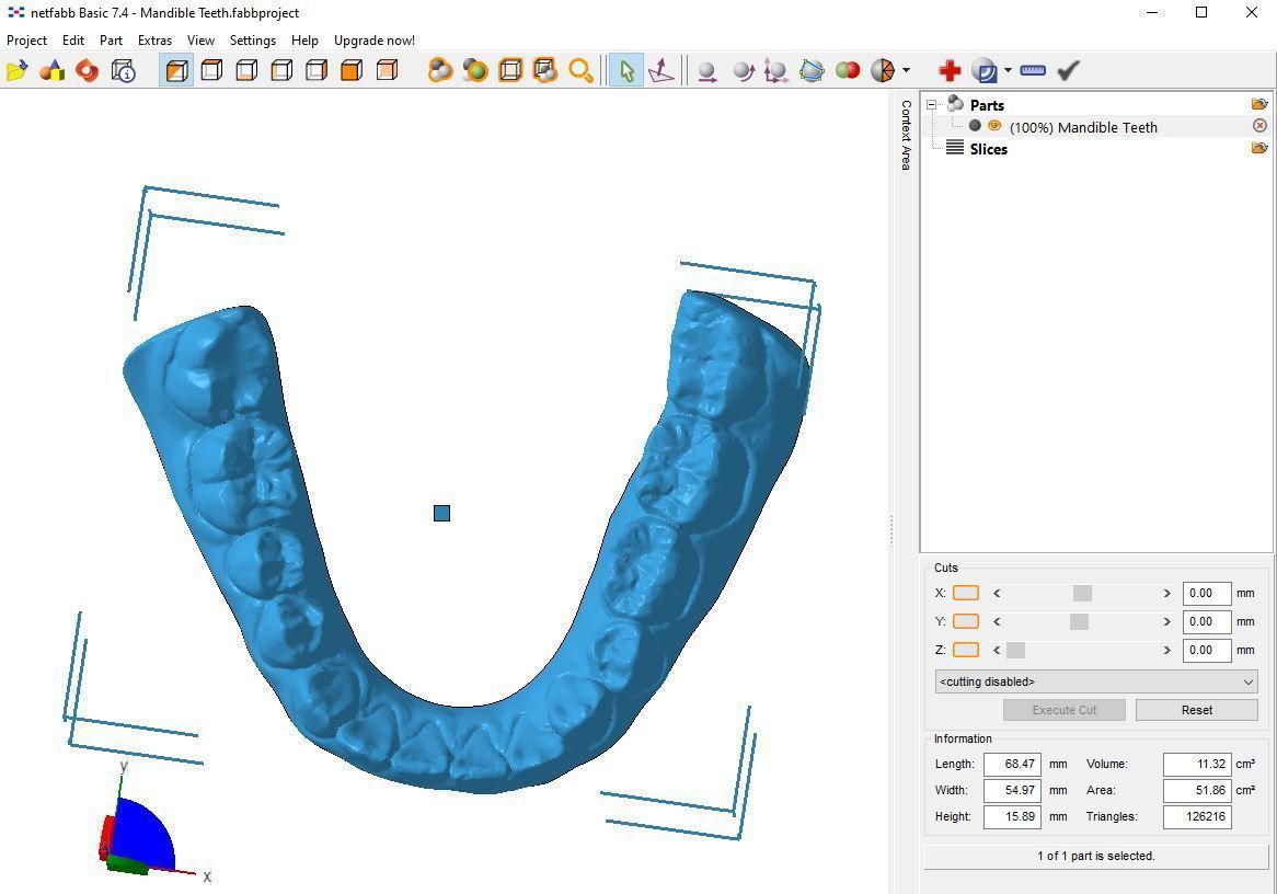 Human Teeth with Base -  3D print model_2