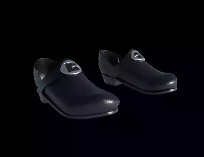 Renaissance noble shoes