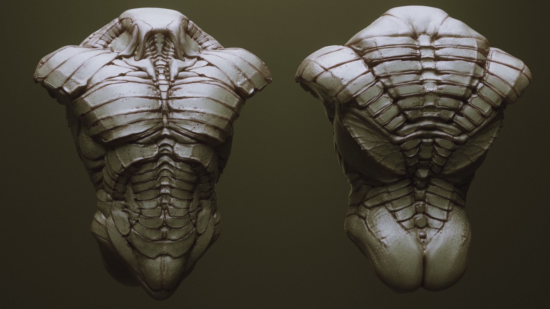 TORSOS - 33 Character and Creature Insert meshes and OBJs 3D model_30