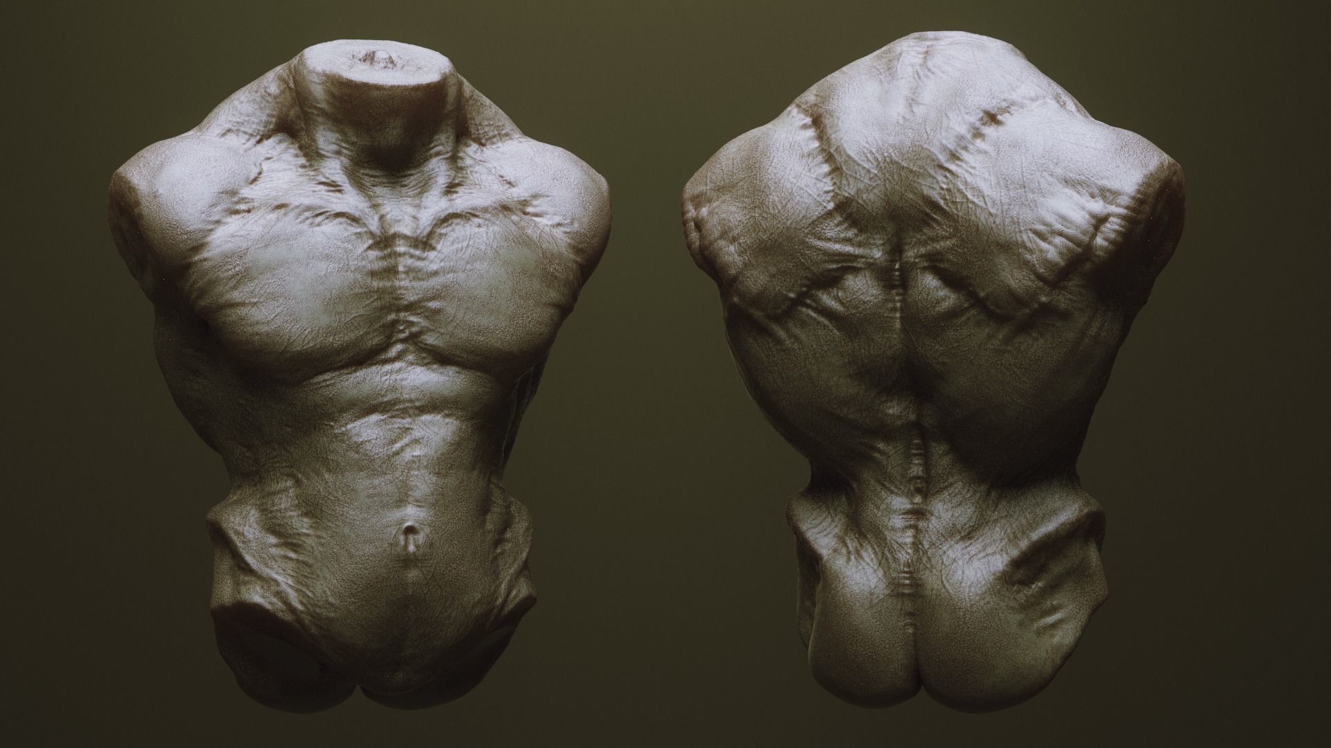 TORSOS - 33 Character and Creature Insert meshes and OBJs 3D model_23