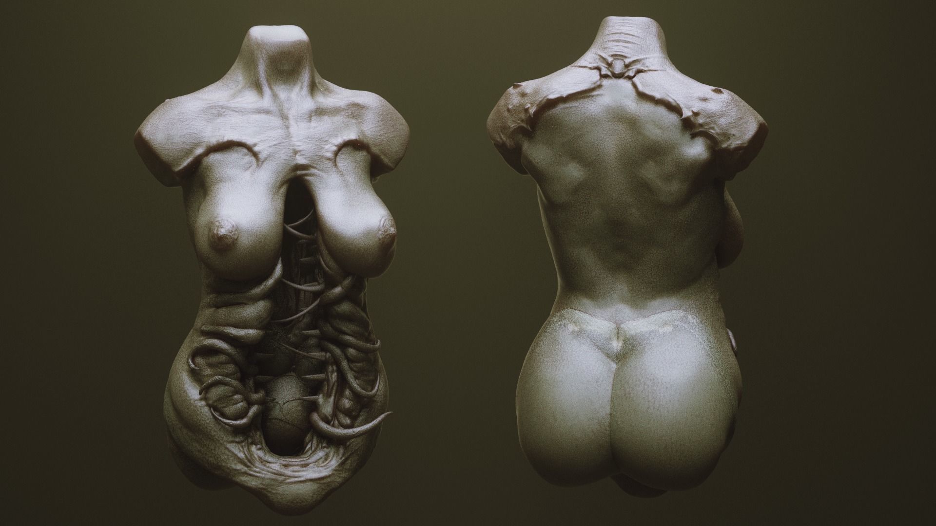 TORSOS - 33 Character and Creature Insert meshes and OBJs 3D model_12