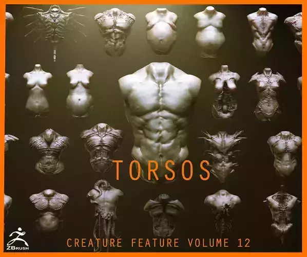 TORSOS - 33 Character and Creature Insert meshes and OBJs 3D model