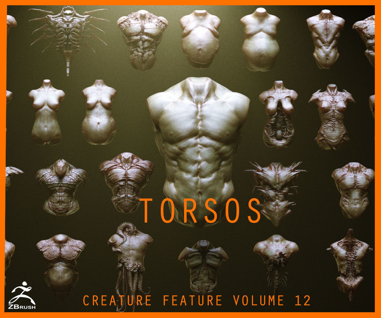 TORSOS - 33 Character and Creature Insert meshes and OBJs 3D model_0