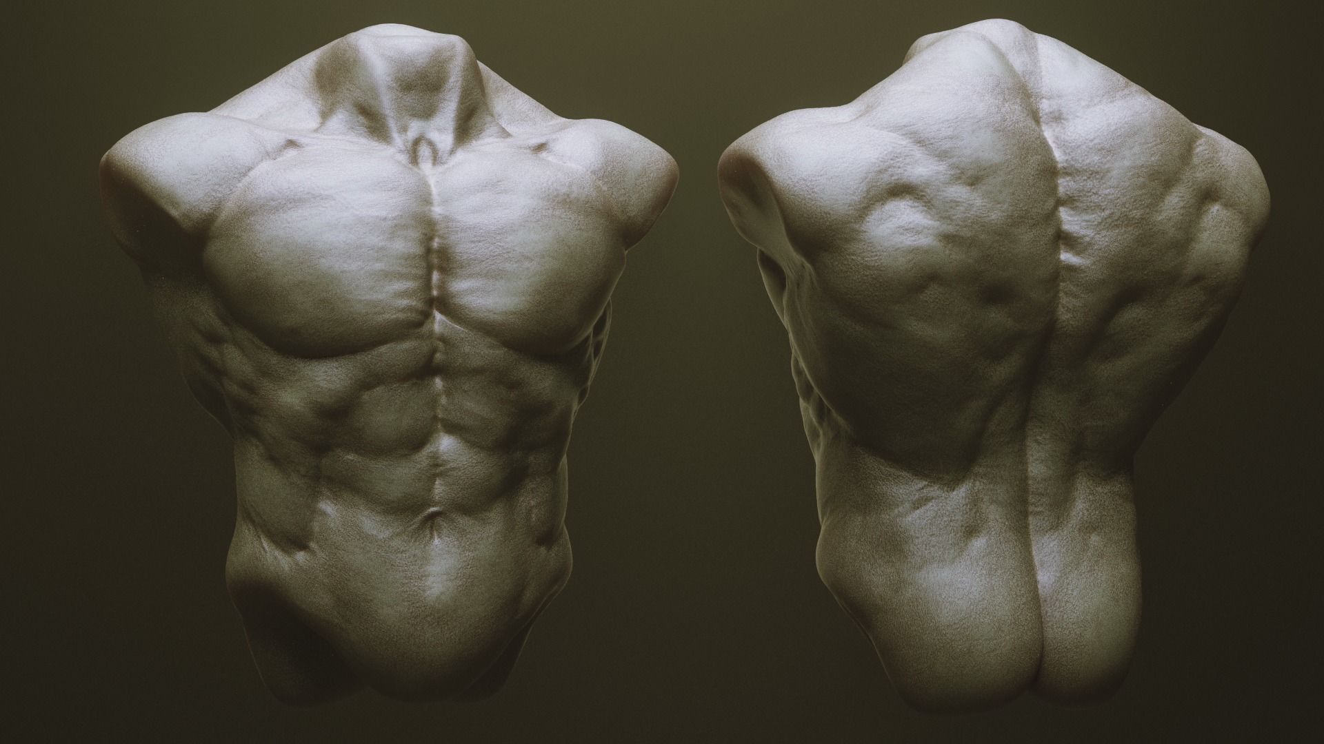 TORSOS - 33 Character and Creature Insert meshes and OBJs 3D model_4