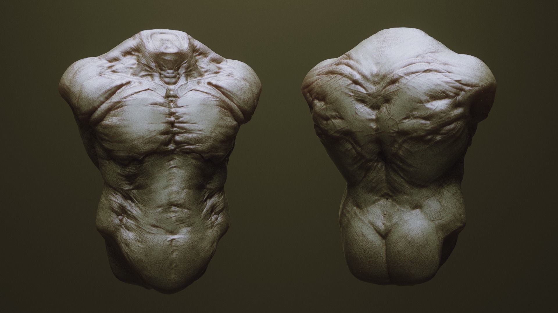 TORSOS - 33 Character and Creature Insert meshes and OBJs 3D model_25