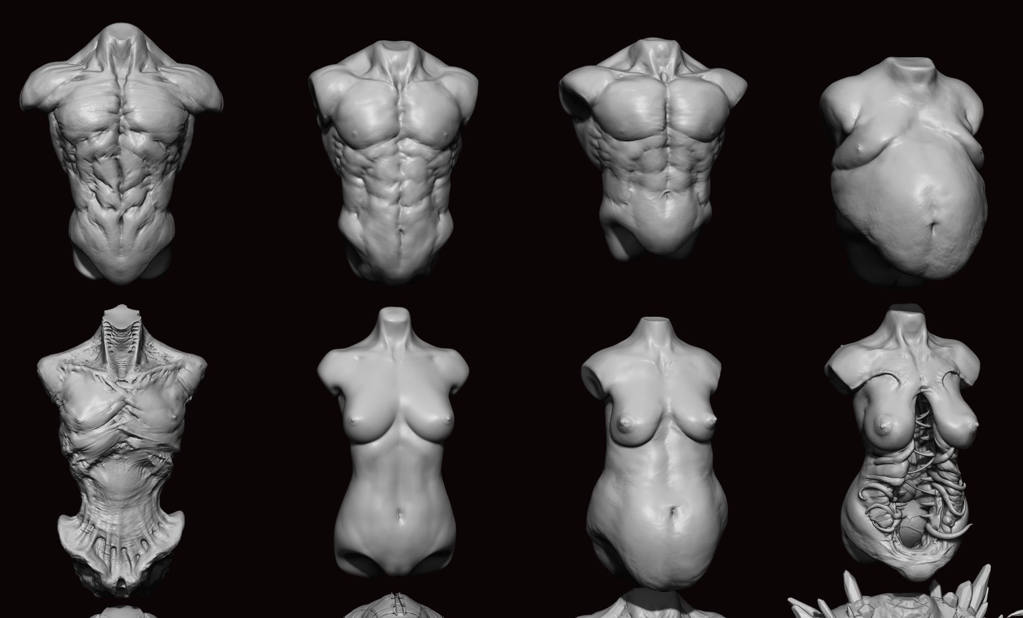 TORSOS - 33 Character and Creature Insert meshes and OBJs 3D model_37