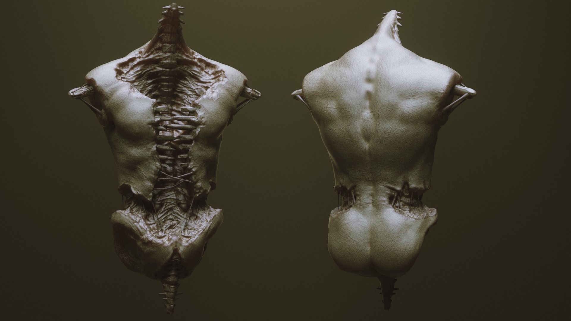 TORSOS - 33 Character and Creature Insert meshes and OBJs 3D model_28