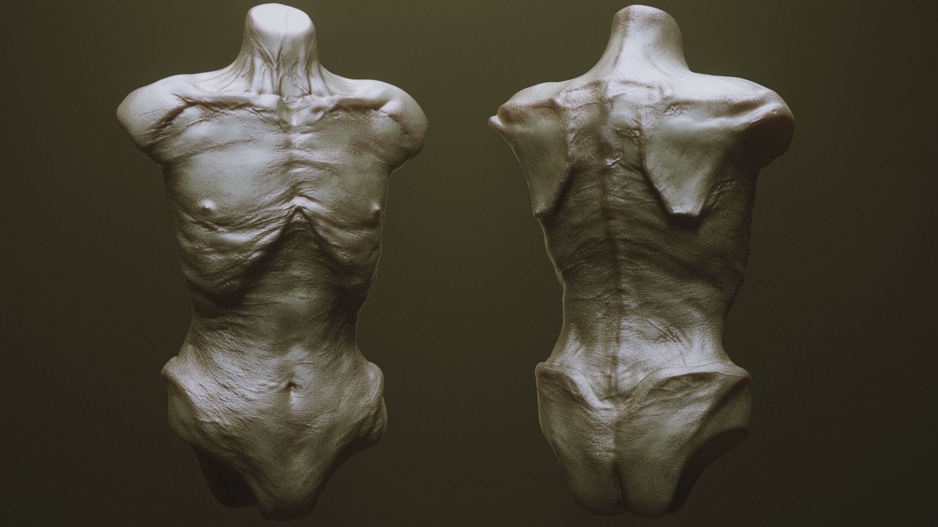 TORSOS - 33 Character and Creature Insert meshes and OBJs 3D model_8