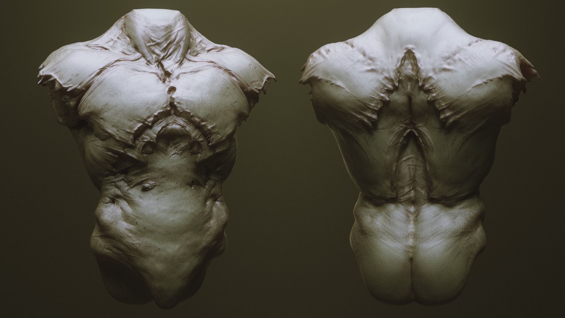 TORSOS - 33 Character and Creature Insert meshes and OBJs 3D model_18