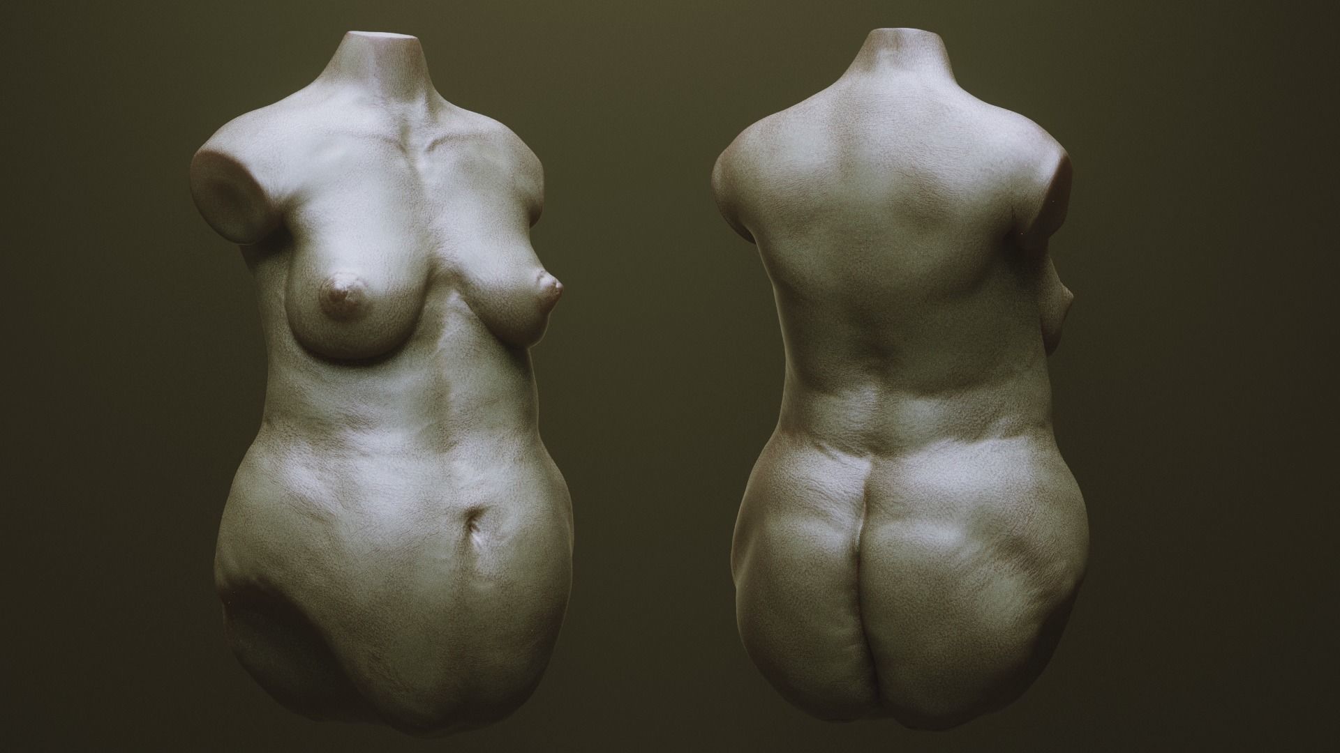 TORSOS - 33 Character and Creature Insert meshes and OBJs 3D model_11