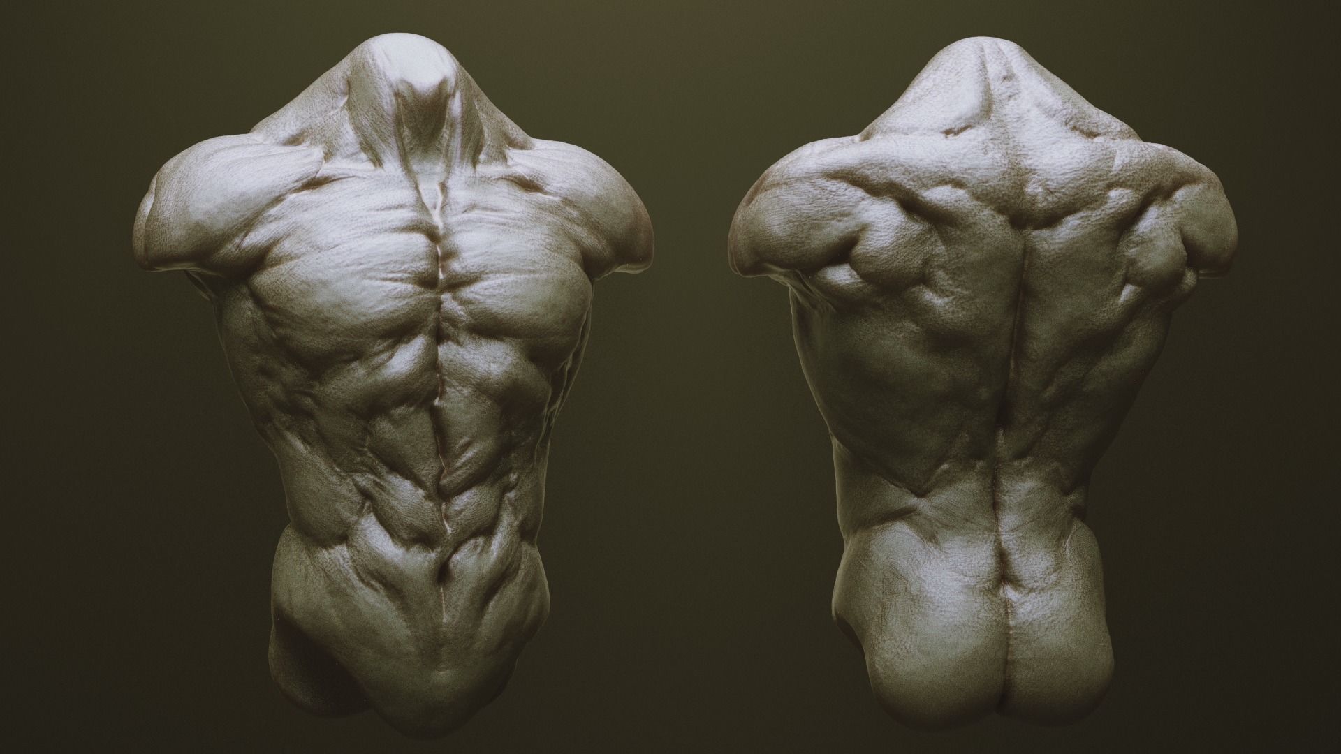 TORSOS - 33 Character and Creature Insert meshes and OBJs 3D model_2