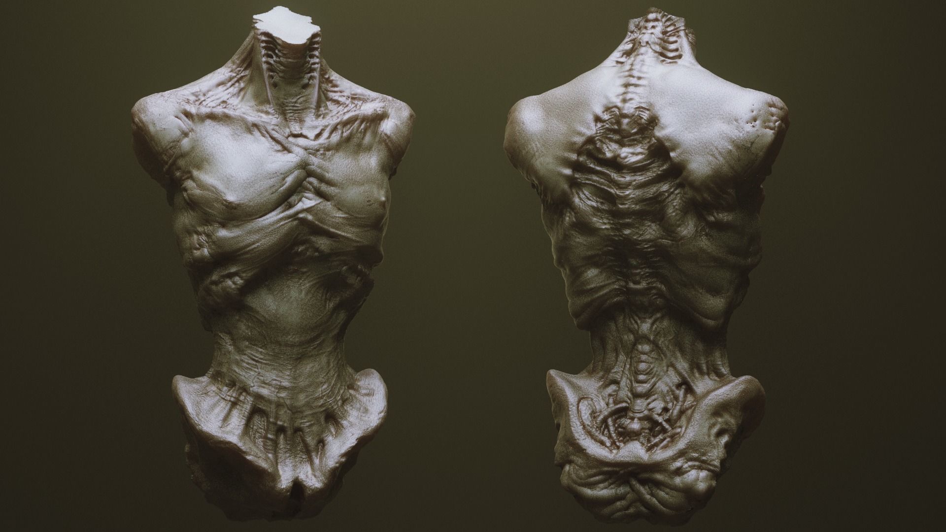 TORSOS - 33 Character and Creature Insert meshes and OBJs 3D model_9