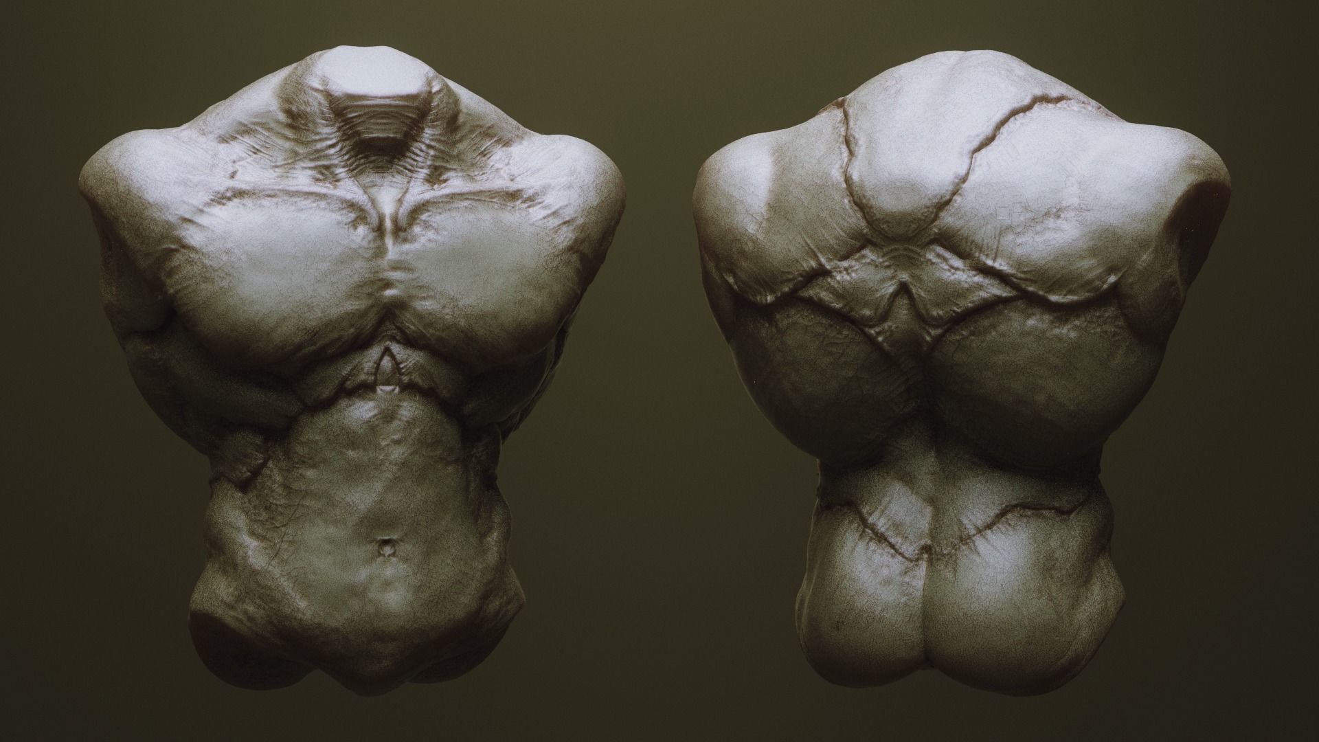 TORSOS - 33 Character and Creature Insert meshes and OBJs 3D model_22