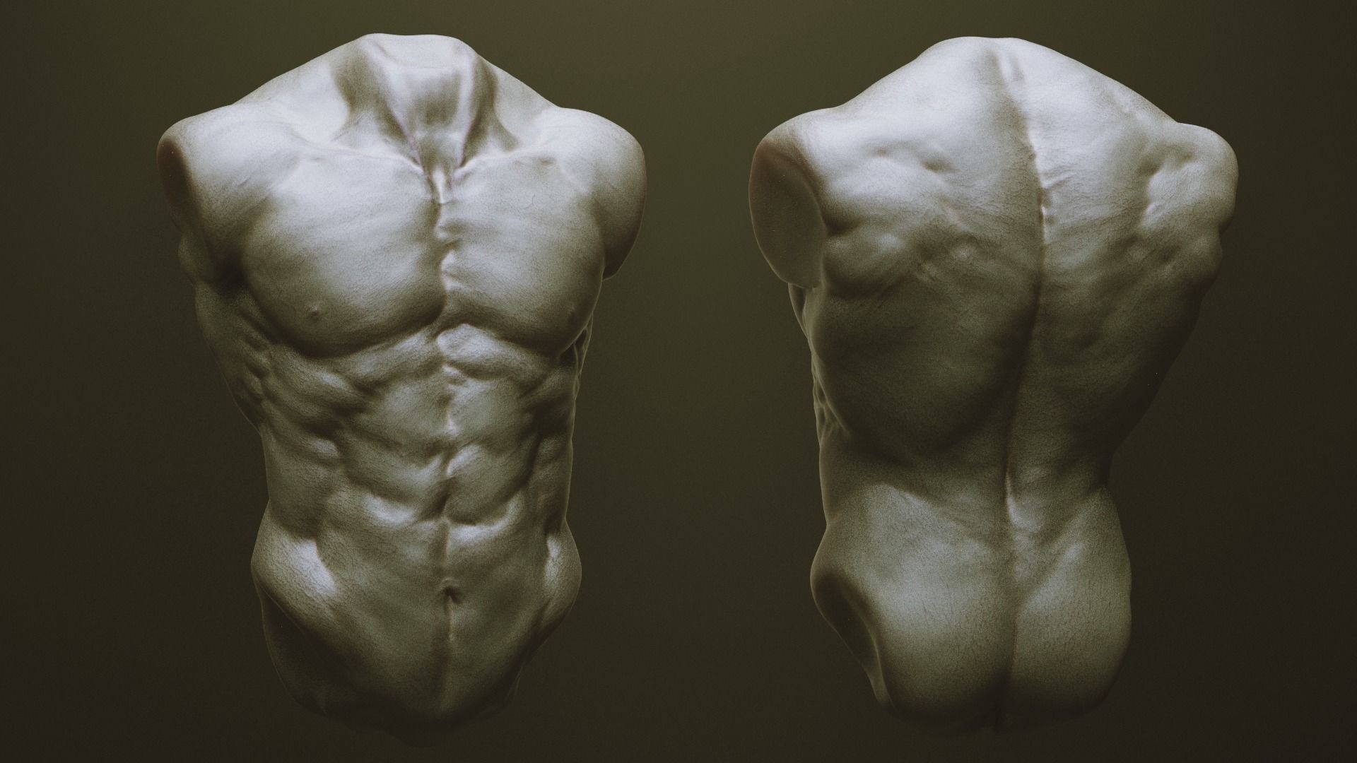 TORSOS - 33 Character and Creature Insert meshes and OBJs 3D model_3