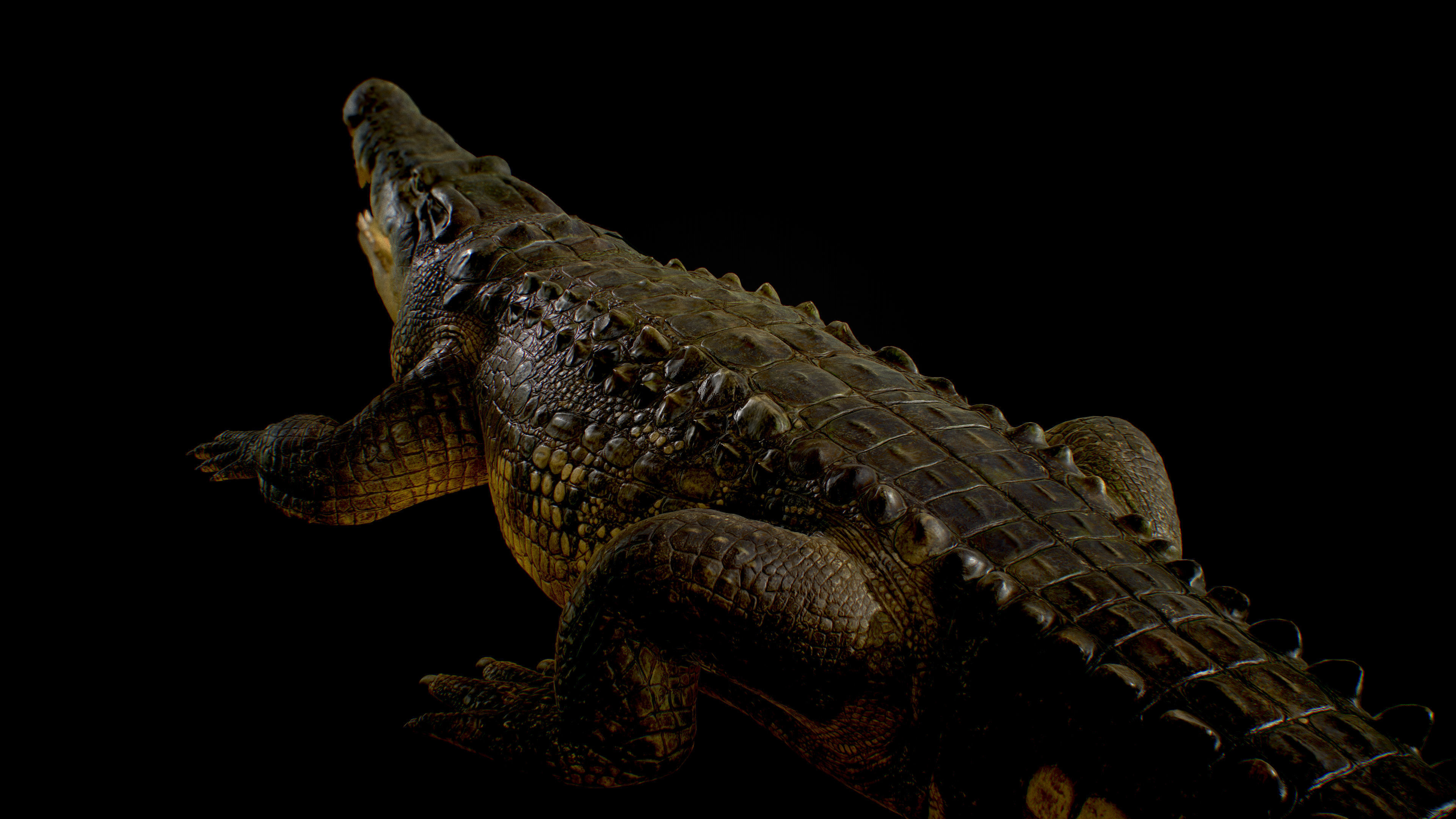 Realistic Crocodile Rig 3D model_8
