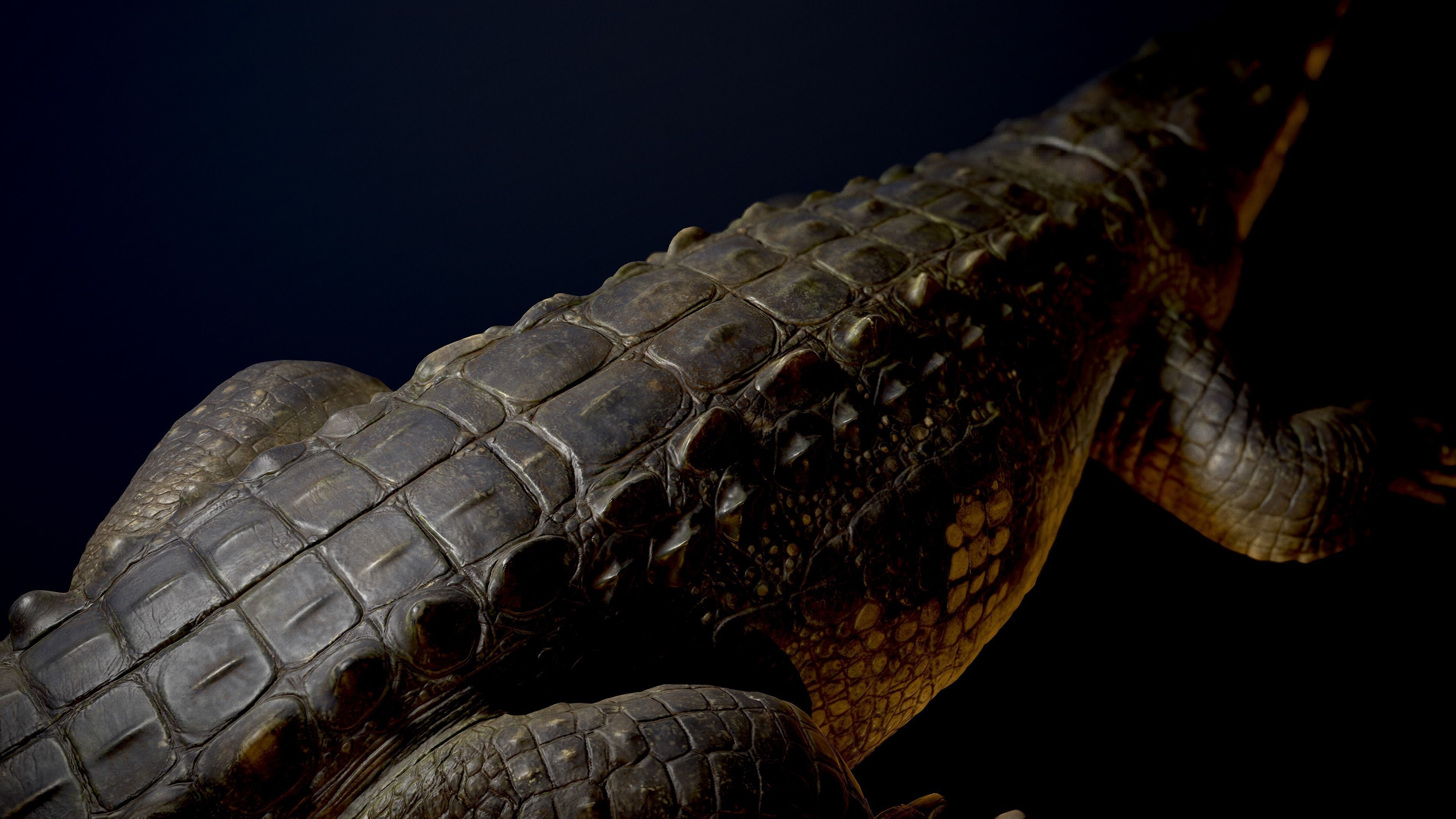 Realistic Crocodile Rig 3D model_7