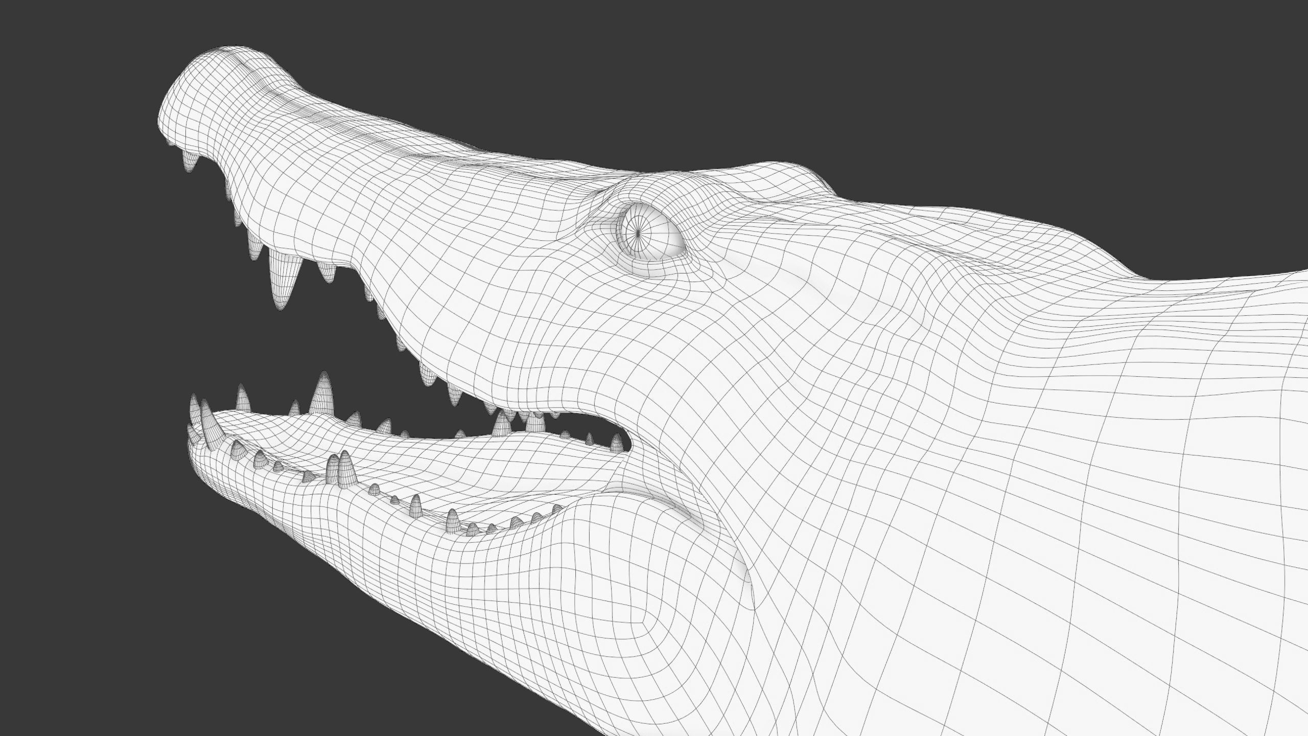 Realistic Crocodile Rig 3D model_24