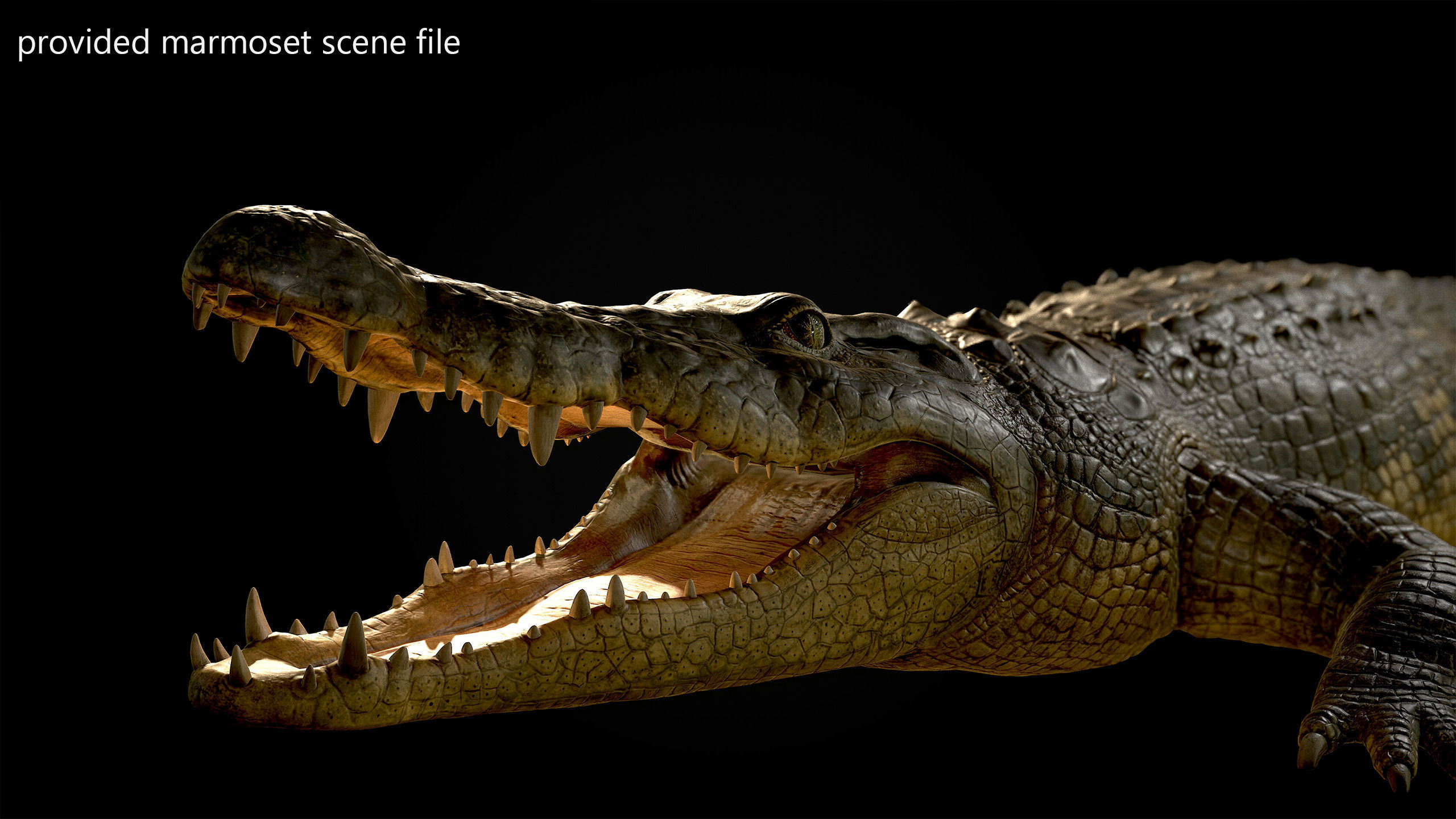Realistic Crocodile Rig 3D model_9