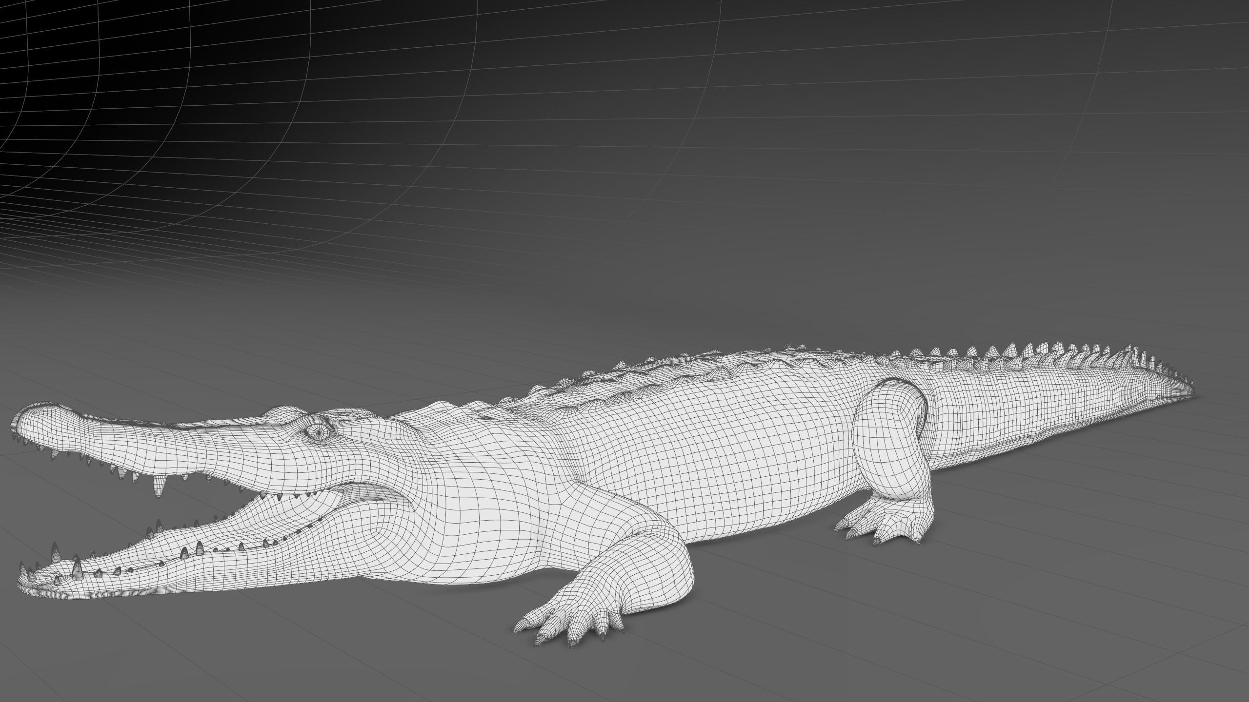 Realistic Crocodile Rig 3D model_22