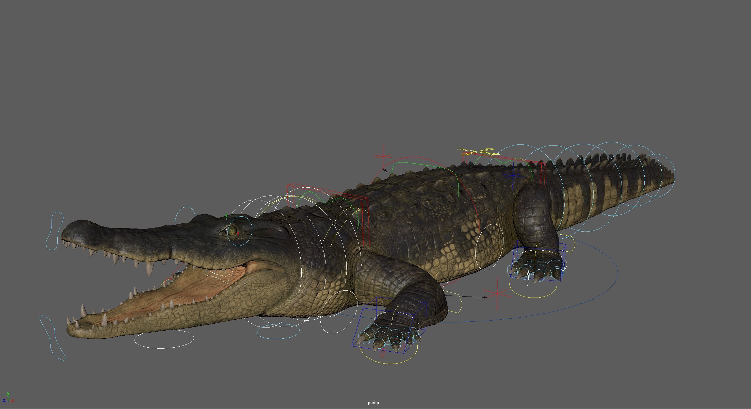 Realistic Crocodile Rig 3D model_10