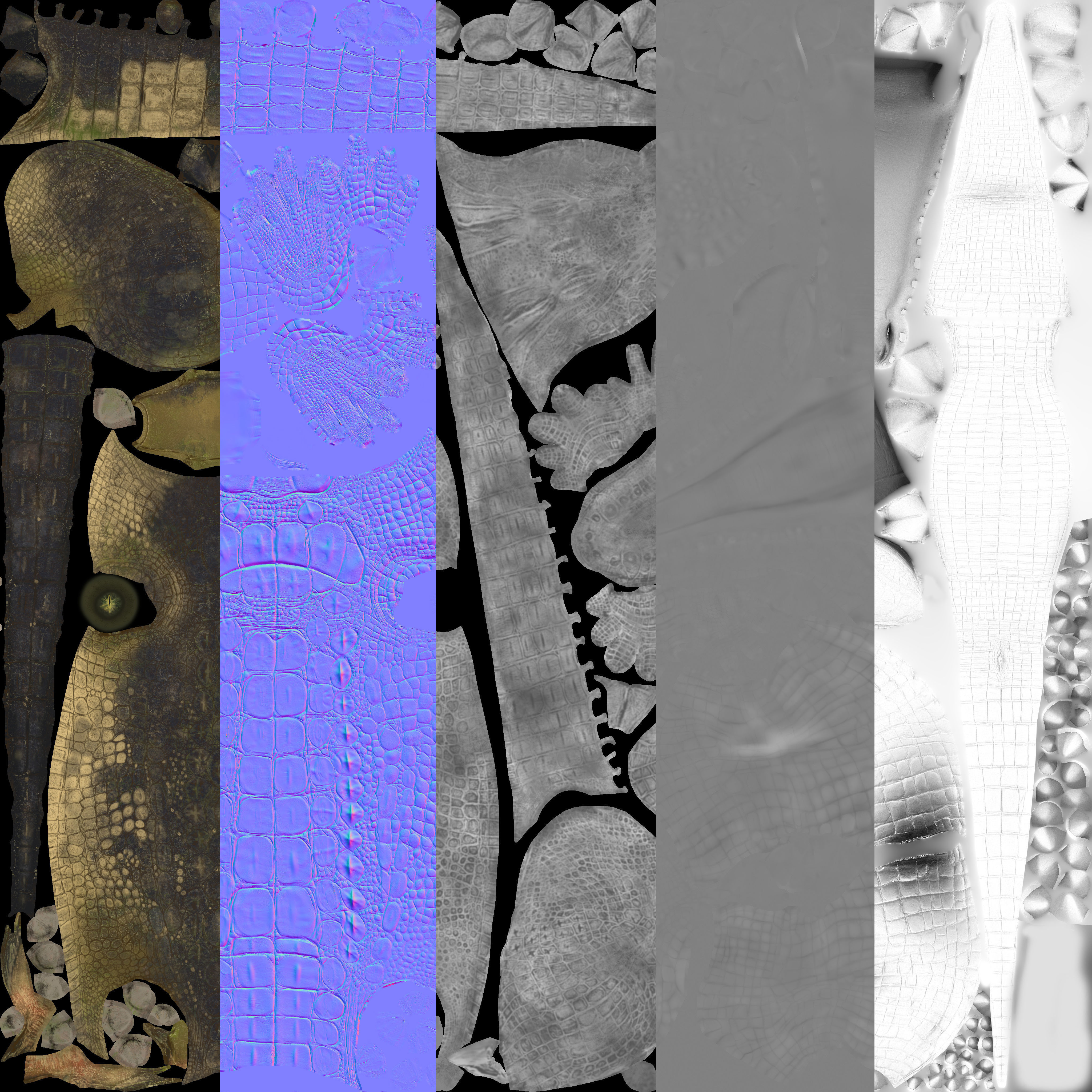 Realistic Crocodile Rig 3D model_35