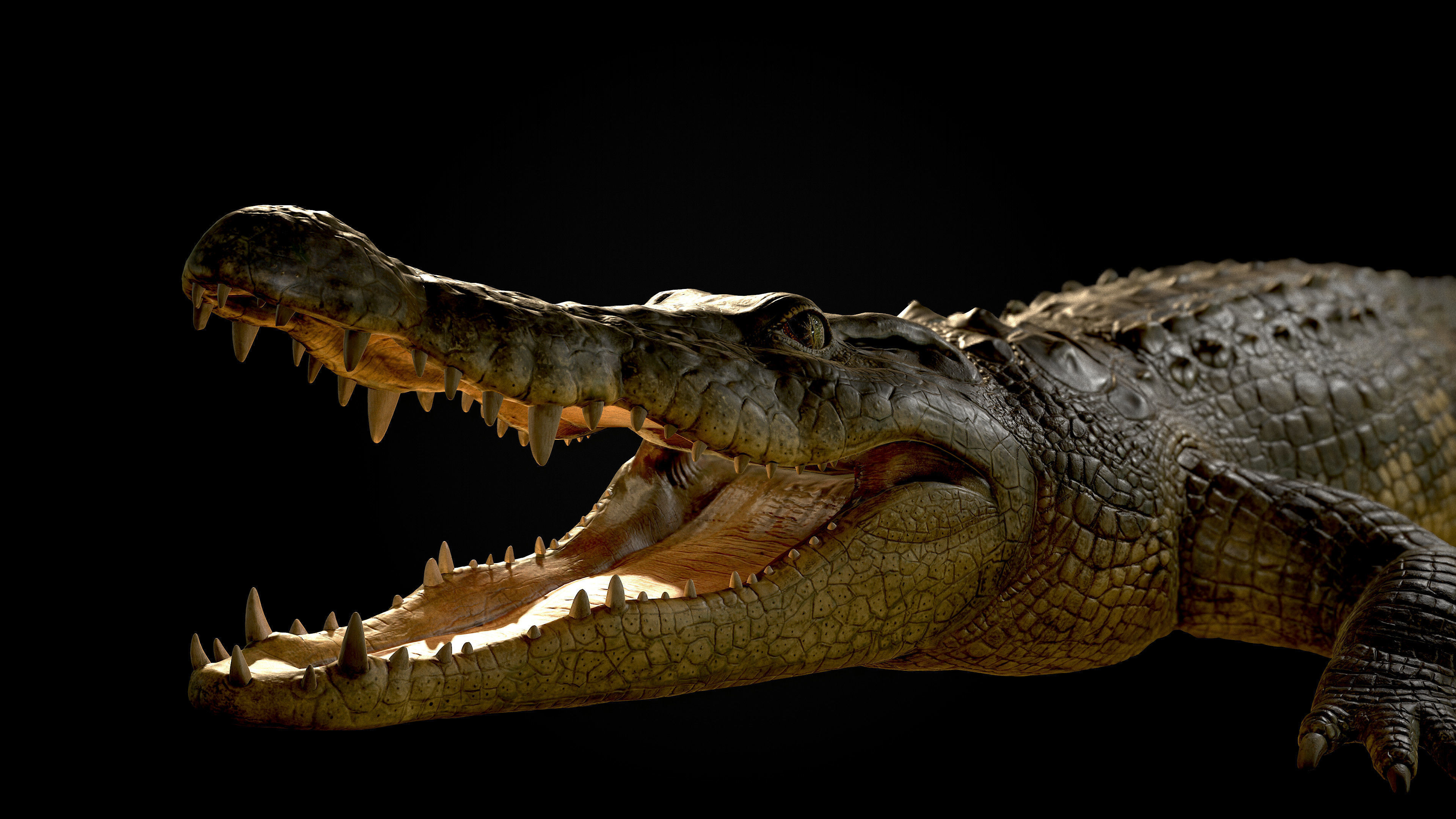 Realistic Crocodile Rig 3D model_4