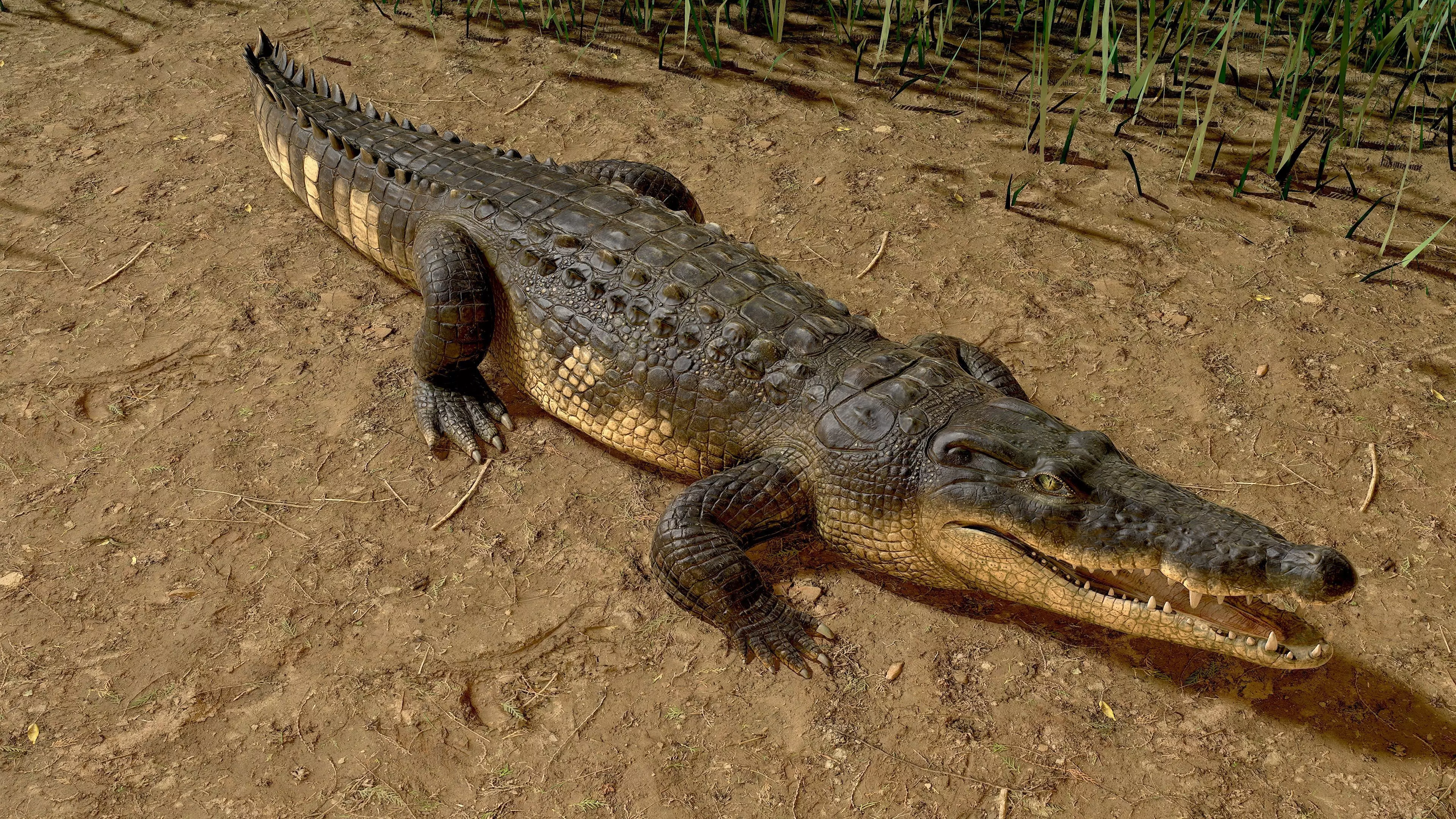 Realistic Crocodile Rig 3D model_0