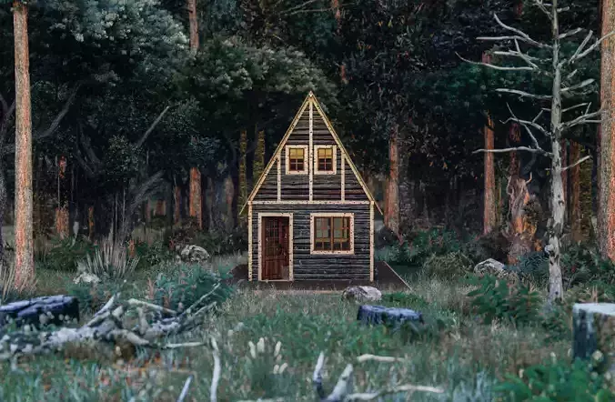 Forest Shed Model