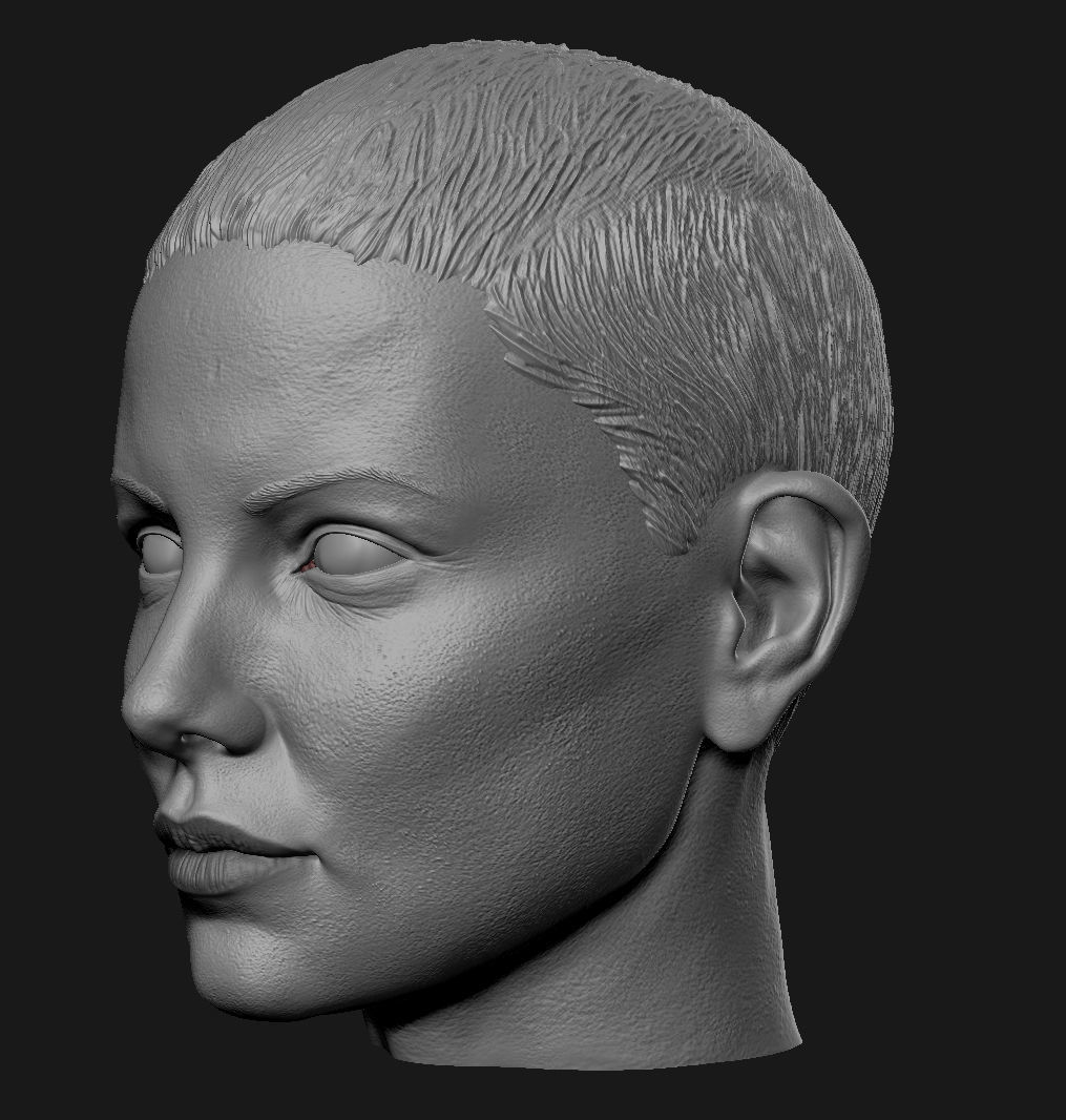 Charlize Theron Furiosa head 3D print model_3
