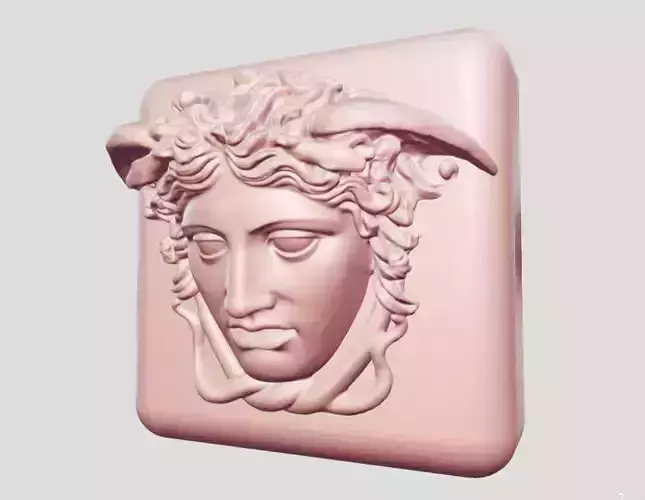 Medusa box 3D print model