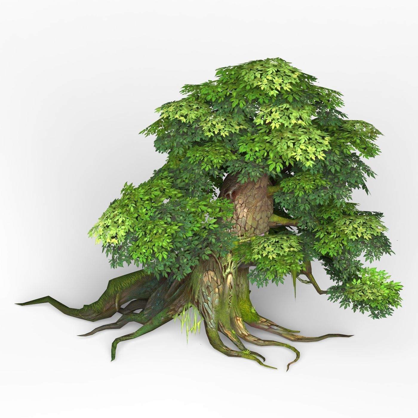 Game Ready Fantasy Tree 05 Low-poly 3D model_3
