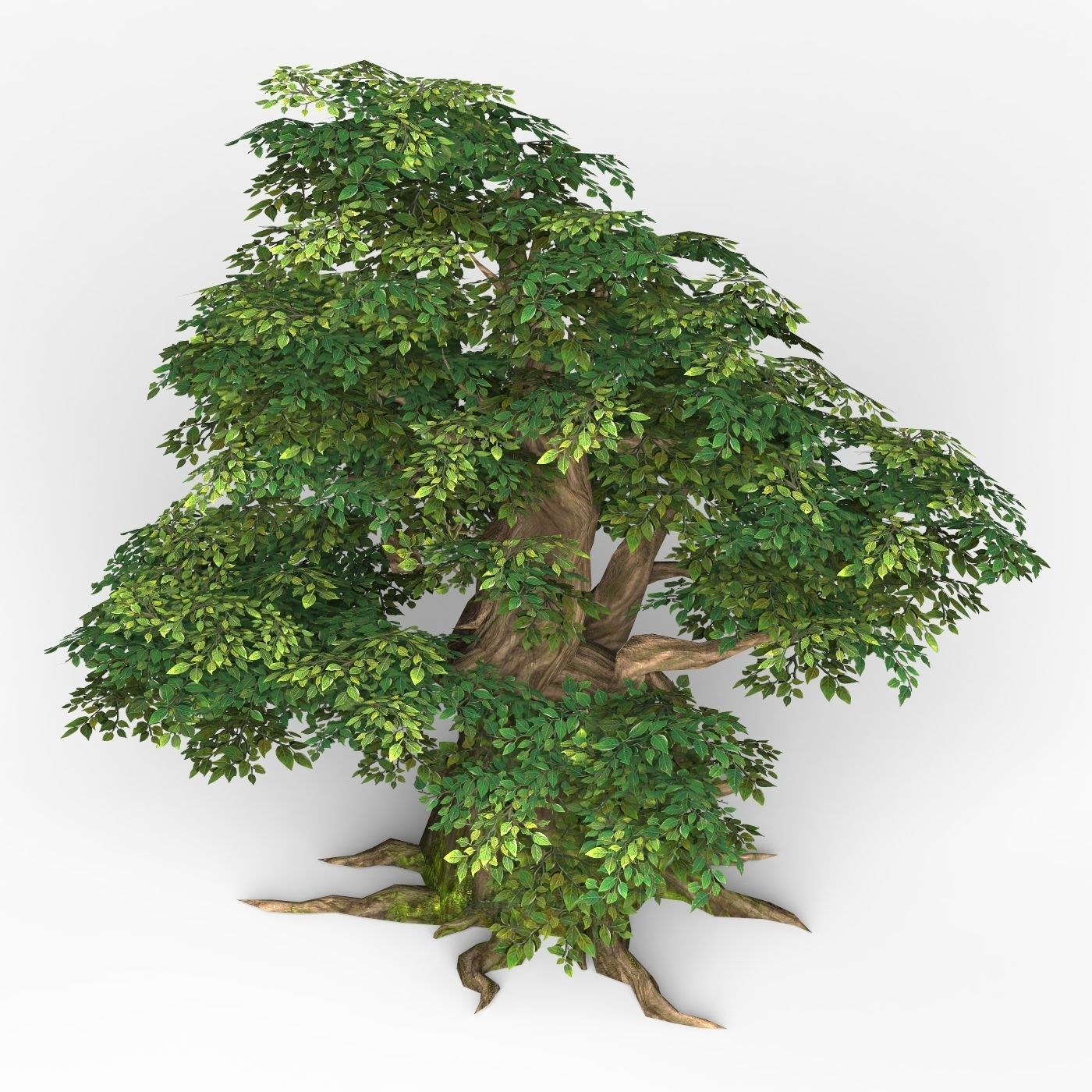 Game Ready Fantasy Tree 11 Low-poly 3D model_3