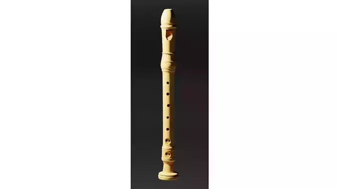 Recorder Flute