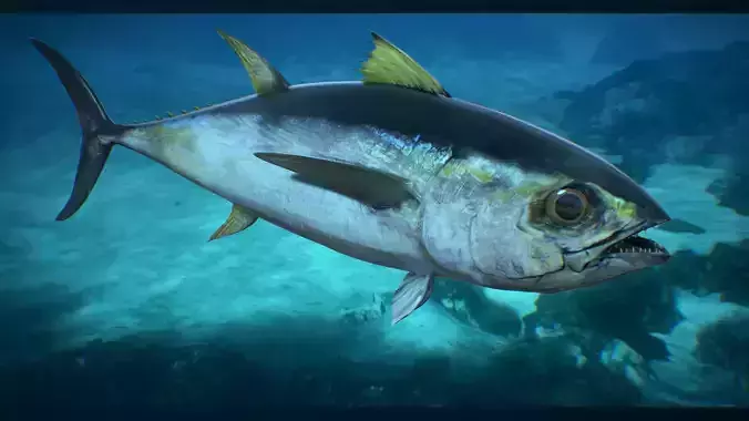 Tuna Fish Low-poly 3D model