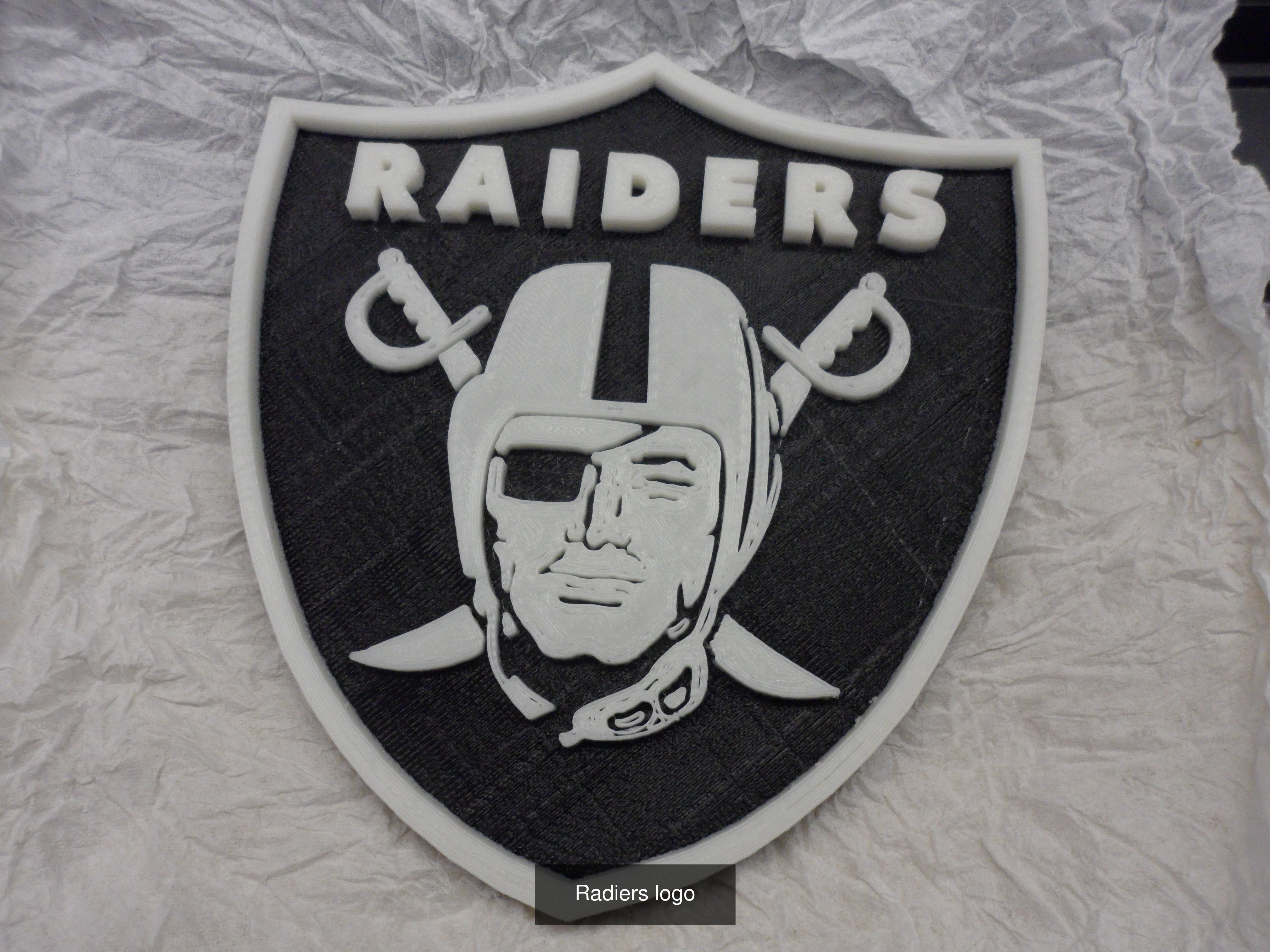 Oakland Raiders 3D Model Collection_1