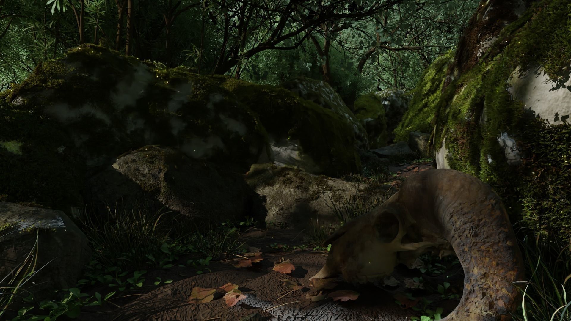 Realistic Forest scene Environment 3D model_5